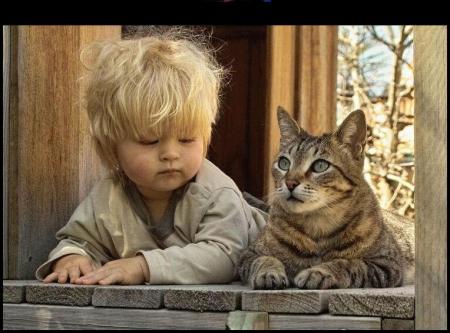il est pasioné le chat